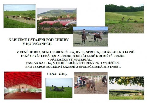 Nabídka ustájení Hipocentrum Koryčany Nabídka ustájení Hipocentrum Koryčany
